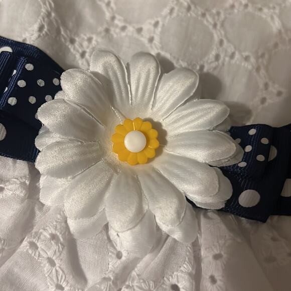 NWT Floral Eyelet Lace Blue and White Dress with Daisy - Picture 6 of 8